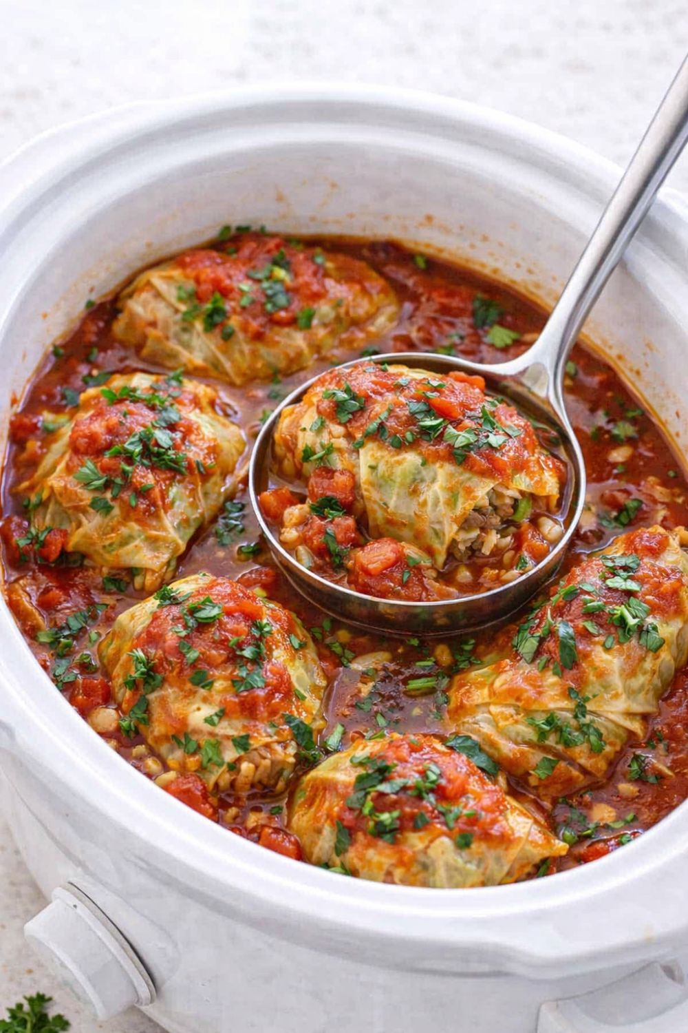 Vegan Cabbage Rolls With Lentils and Rice