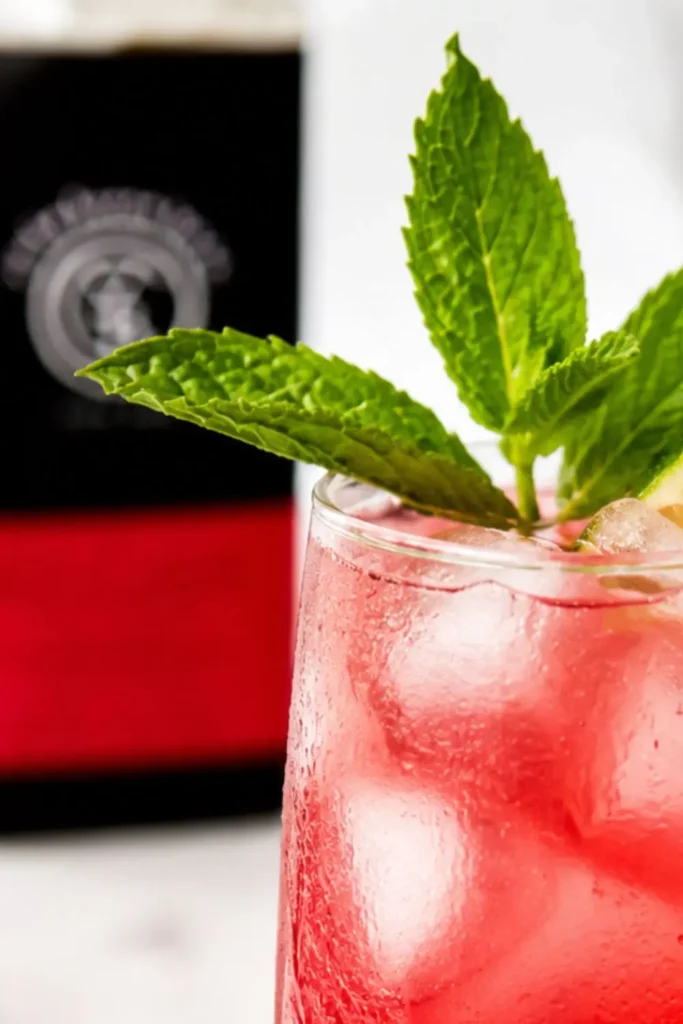Sparkling Hibiscus Lime Mocktail